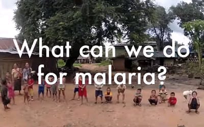 Introduce one of the field of malaria research