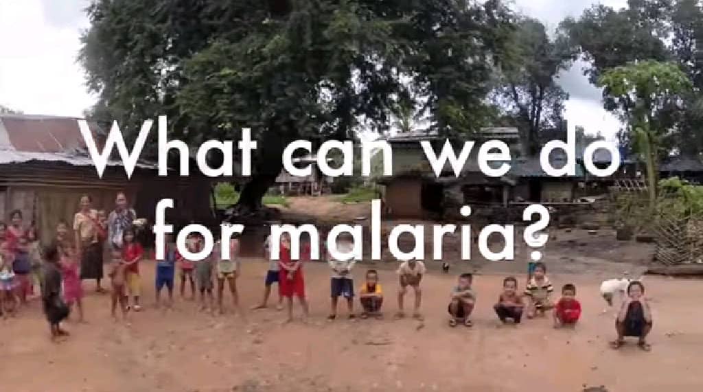 マラリア調査の現場のひとつを紹介します。