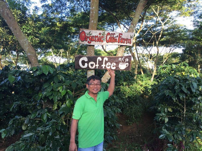ラオス南部パークソンのオーガニック・コーヒー農場を見学に行きました。