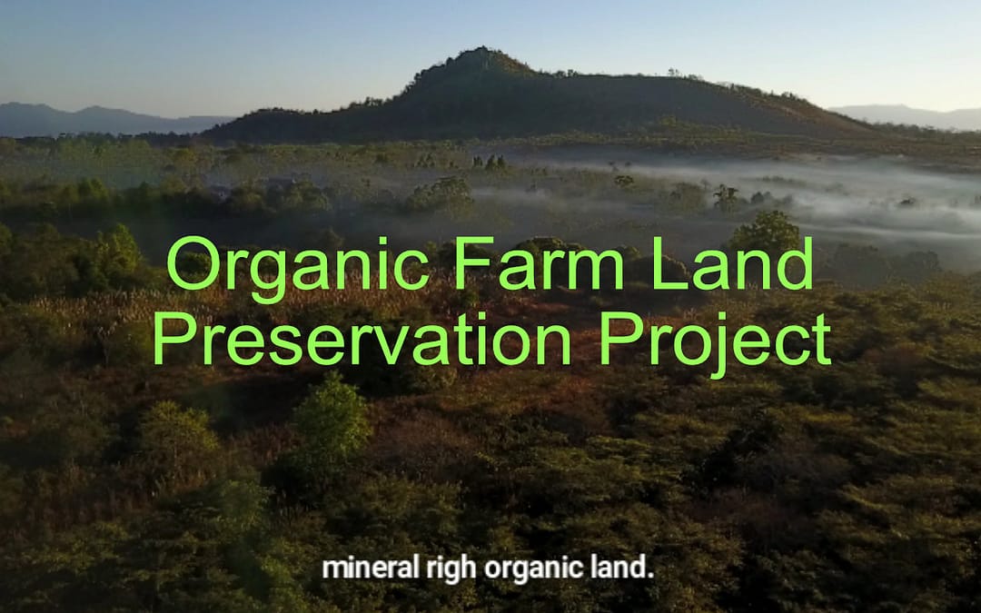 ラオス有機農地保存プロジェクト
